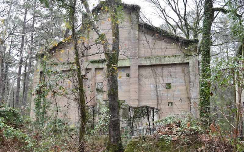 These 10 Genuinely Haunted Forests In Texas Will Terrify You