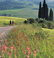 Tuscany Trip