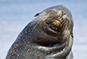 Galapagos & Ecuador Video
