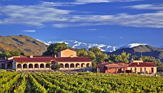 Northern Argentina Biking Tour