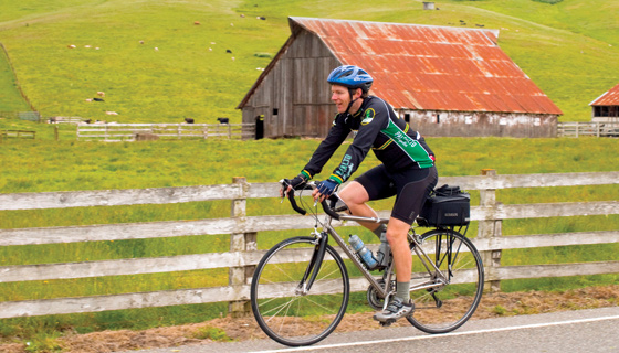 Wine Country Biking Tour