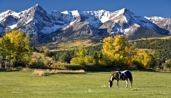 Colorado Biking Tour