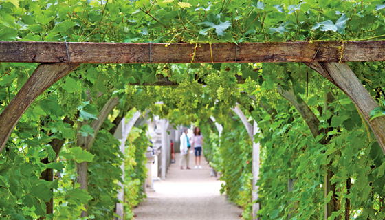 Loire Valley Biking Tour