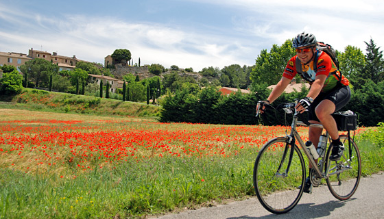 Provence Biking Tour