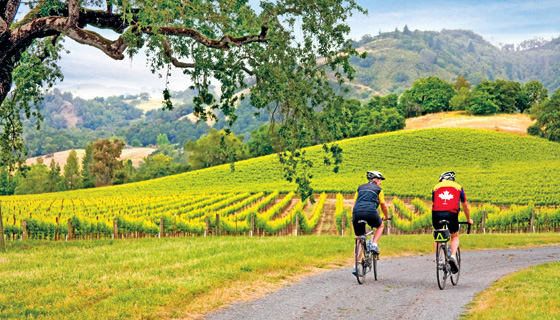 Wine Country Biking Tour