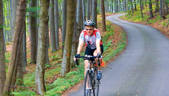 Czech Republic & Austria Biking
