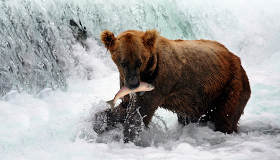 Alaska Multisport Vacations