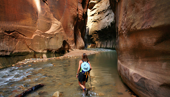 Bryce & Zion Walking & Hiking Tour