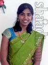 Photo of  Kamma, Kapu/Naidu Telugu Bride education in Engineering