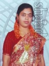 Photo of  Brahmin - Vaidiki, velnadu Telugu Bride education in Arts