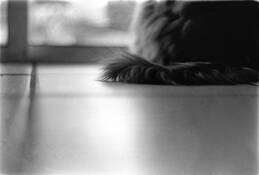 Untitled_7