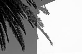 Shadows_4