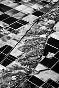 Untitled_5