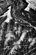 Untitled_8
