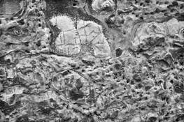 Untitled_3