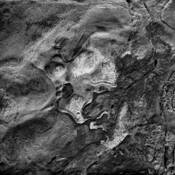 Untitled_4