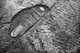 Untitled_5