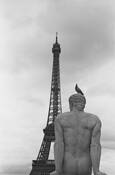 Tower_bird_statue