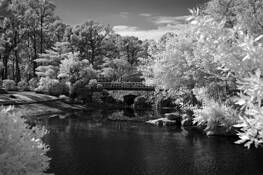 Stone_bridge