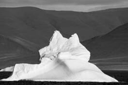 Iceberg