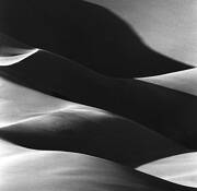 Great_sand_dune_snational_park_4
