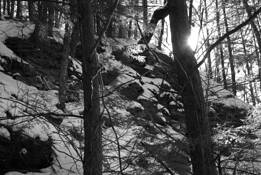 Ridge