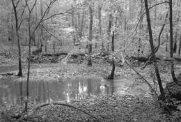 Fall_5