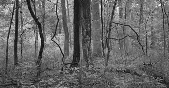 Fall_7