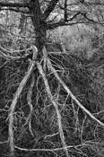 Untitled_01