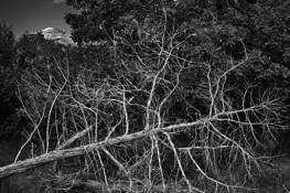 Untitled_02