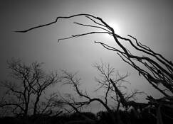 Untitled_02b