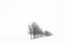 Untitled_03c