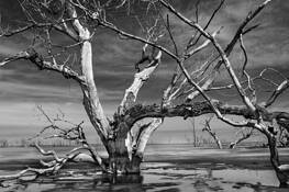 Untitled_05b