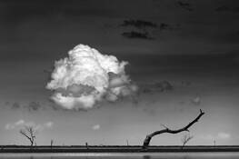 Untitled_08b