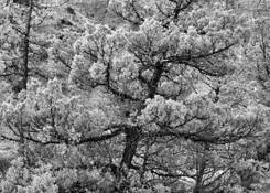 Untitled_10b