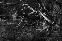 Illusion_of_continuity