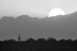 Desert_sunset