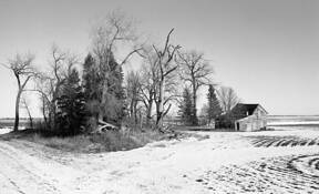 Untitled_8