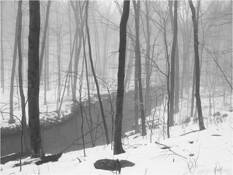 Little_river_1