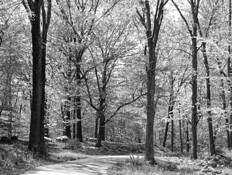 Putnam_park
