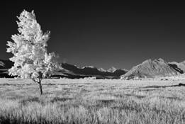 Glacier_national_park