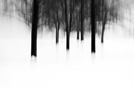 Winter_dance_6