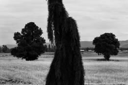 Untitled_5