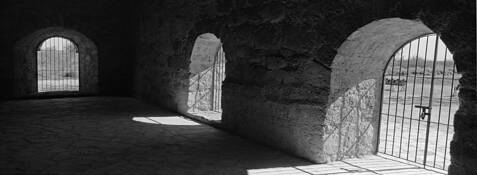 Untitled_14