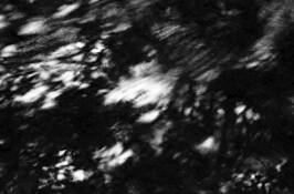 Illinois_reflection_5