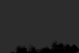 Untitled_5