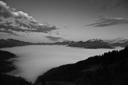 Hoh_river_valley