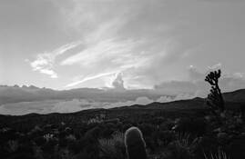 Mojave_sunset