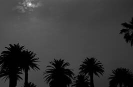 June_gloom