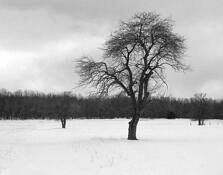 January_farm